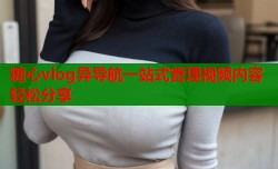 糖心vlog异导航一站式管理视频内容轻松分享