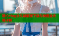 糖心vlog永久破解版下载与使用全攻略详解