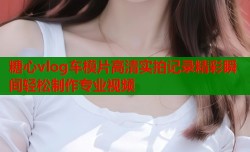 糖心vlog车模片高清实拍记录精彩瞬间轻松制作专业视频